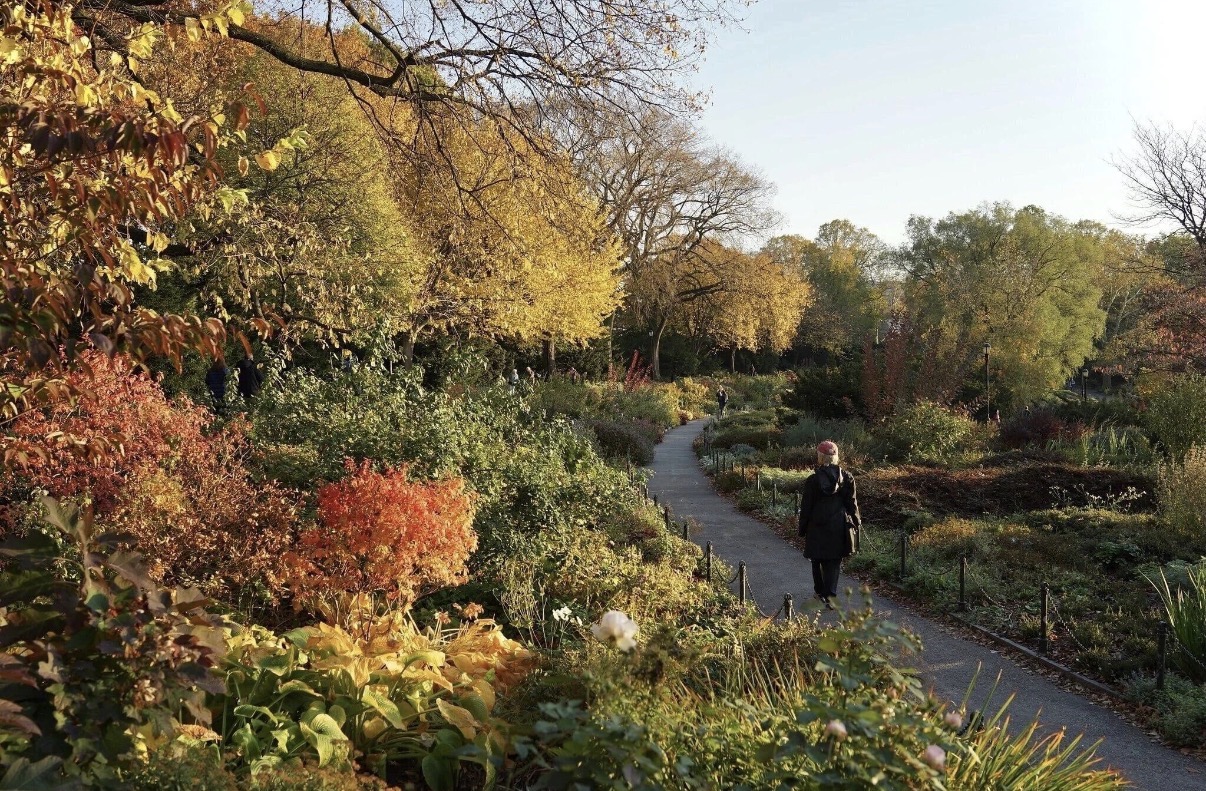 A quiet path surrounded by autumn foliage